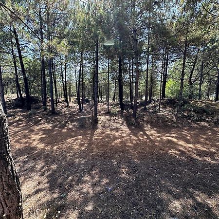 Appartement Au Bord De Mer Saint-Brévin-les-Pins Zewnętrze zdjęcie